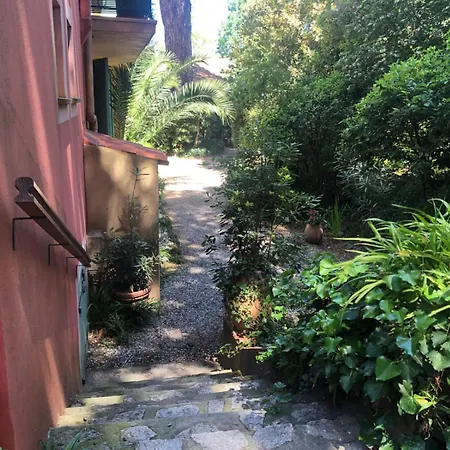 Lejlighed Maison Tropezienne Saint-Tropez